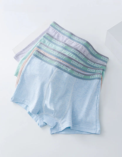4PCS Teen Boys Underwear Briefs