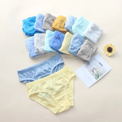 12pcs Cartoon Boys Briefs Cotton Underwear