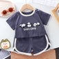 Girl/Boy 2 Pcs Cartoon T-shirt+shorts