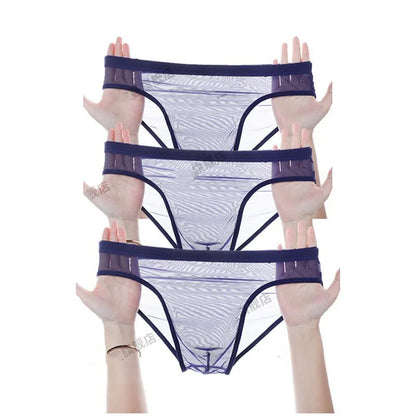 3Pcs See Through Men's Sexy Briefs Seamless
