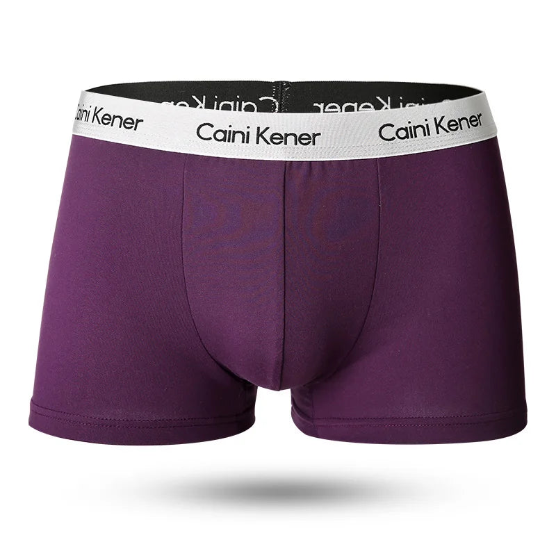 2025 New 3Pcs Underwear For Men Boxers