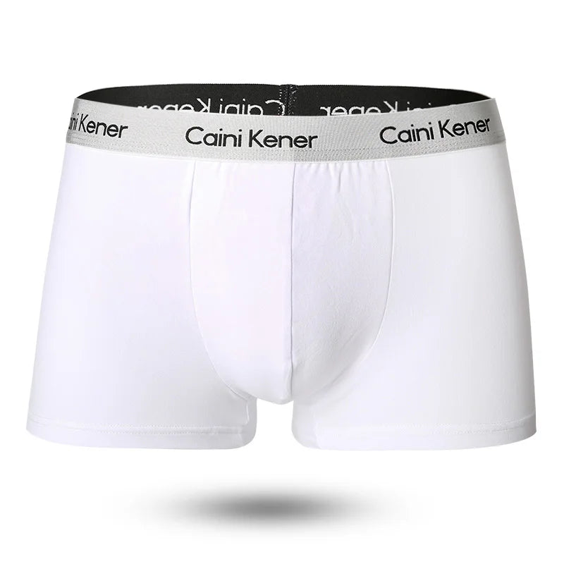 2025 New 3Pcs Underwear For Men Boxers