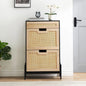 Freestanding Shoe Rack Storage Cabinet With Metal Legs