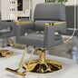 Barber Chair Comfortable Luxury Salon Hairdresser Chair