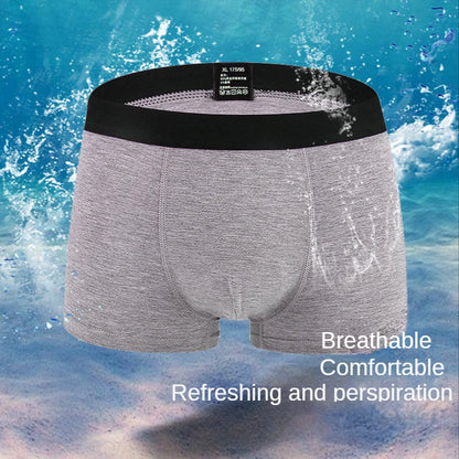 6pc Sexy  Boxer Men Breathable Underwear