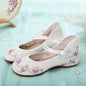 Women Casual Zapatos Vintage Cloth Single Shoes