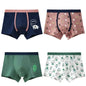 4Pcs Boys Boxer Striped Underwear