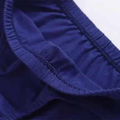 12pcs Boys Briefs Underewear