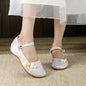 Womens Cloth Shoes Streetwear Embroidery Casual Vintage