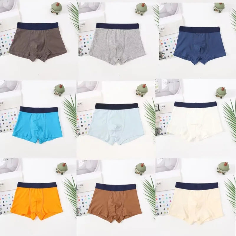 5PC High Quality Boys Boxer Cotton Underwear