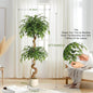 Ficus Tree Artificial Plants Indoor White Pot