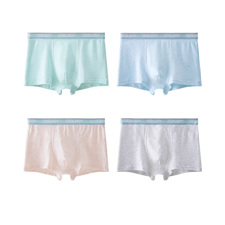 4PCS Teen Boys Underwear Briefs