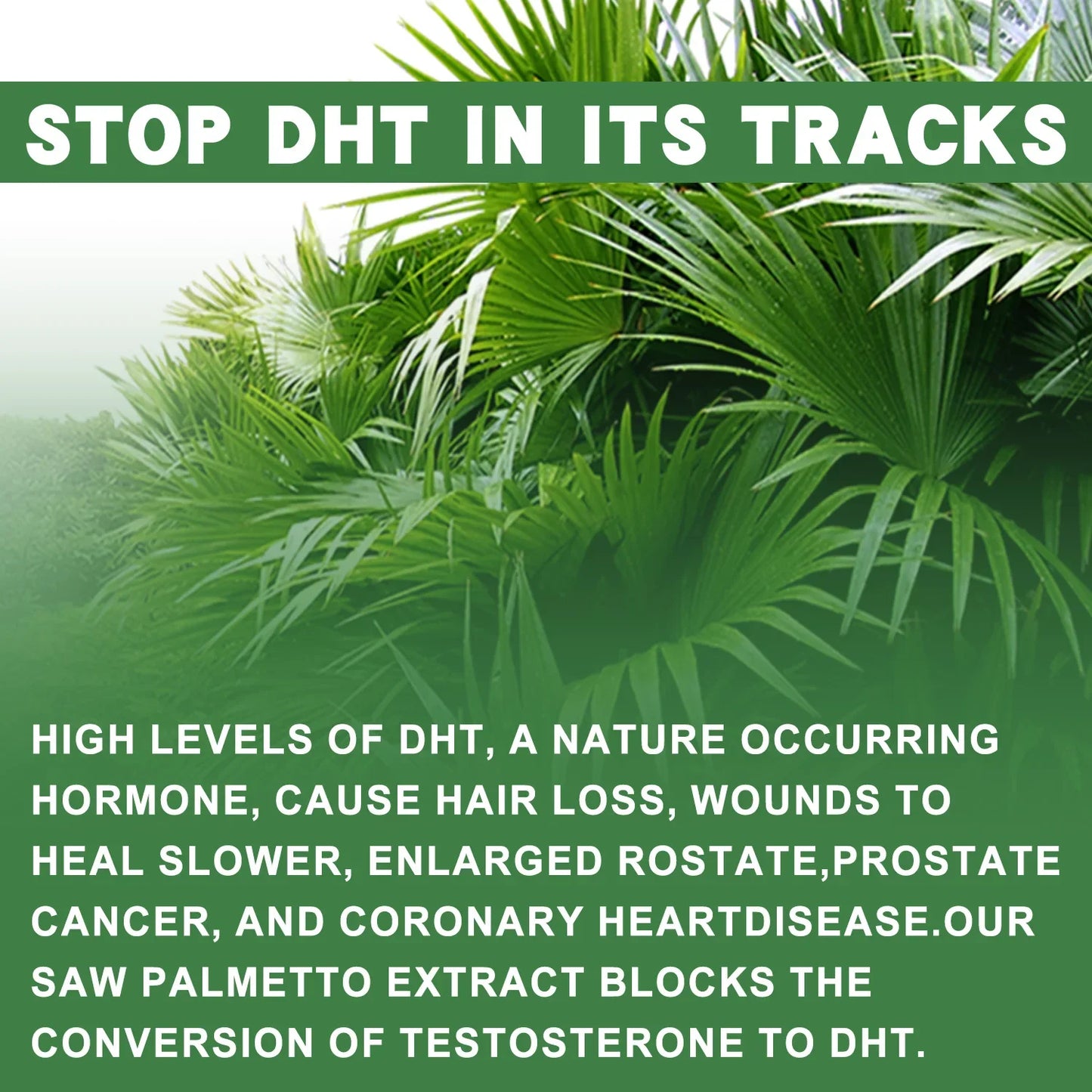 Prostate Support, Prevents Hair Loss, Urinary Tract Health
