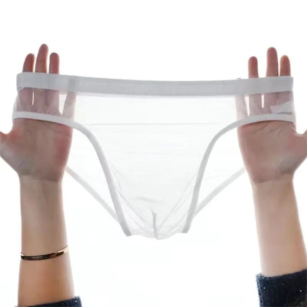 3Pcs See Through Men's Sexy Briefs Seamless