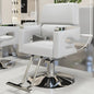 Barber Chair Comfortable Luxury Salon Hairdresser Chair