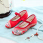 Womens Cloth Shoes Streetwear Embroidery Casual Vintage