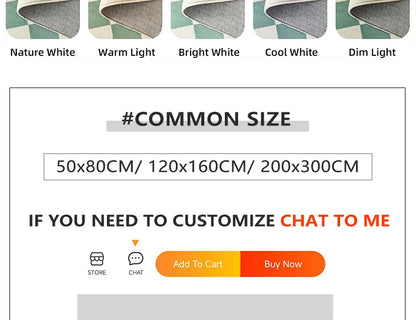 Semi-circular Outdoor Rug Modern Art Style