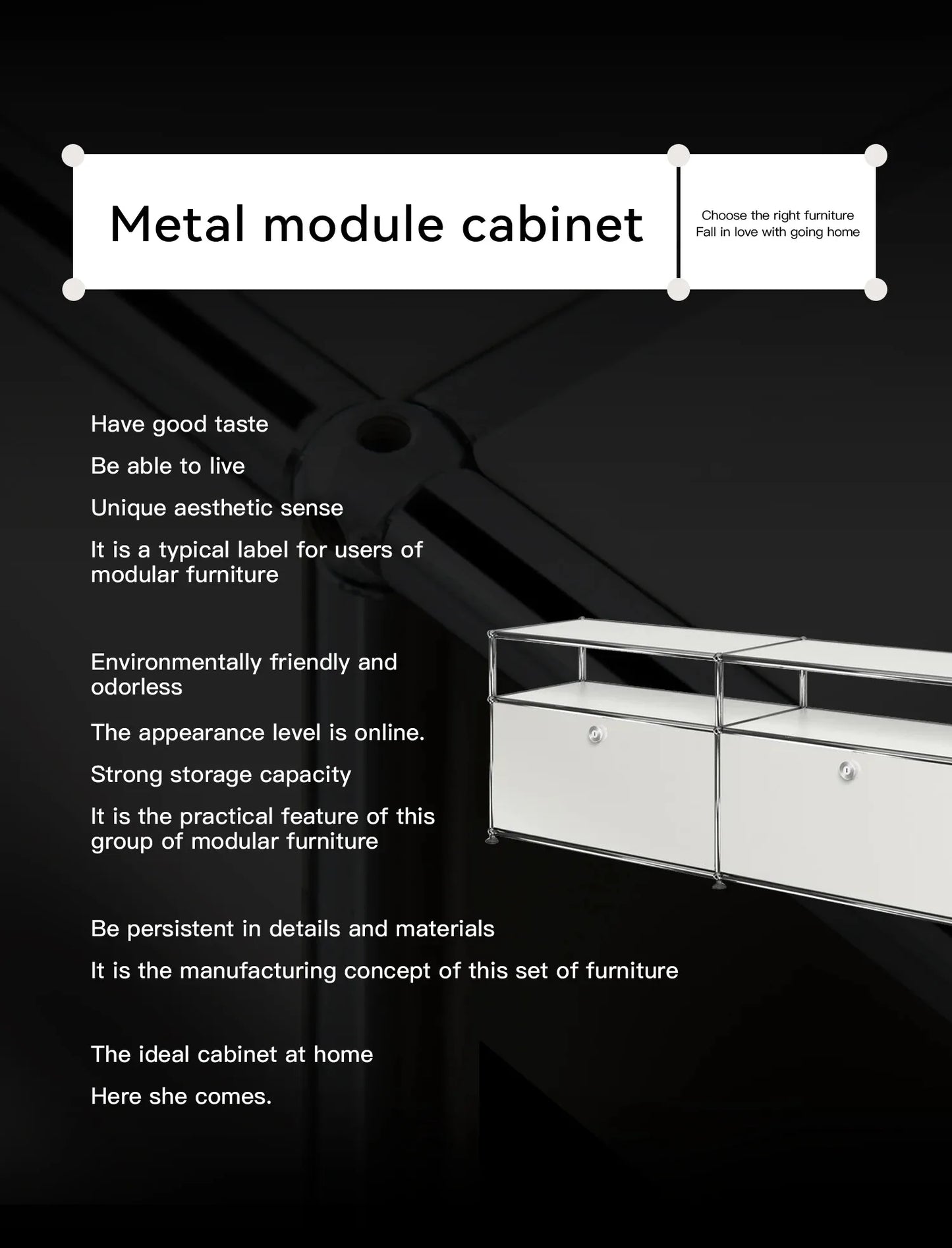 Storage Cabinets Metal Display Cabinet Furniture