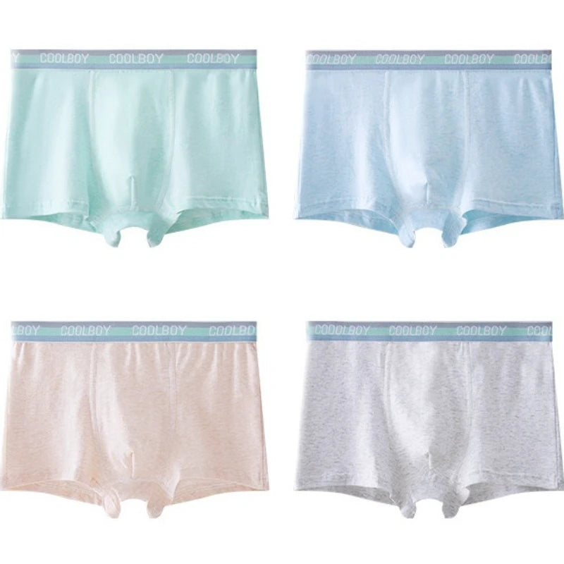 4PCS Teen Boys Underwear Briefs