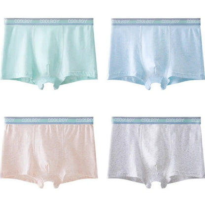 4PCS Teen Boys Underwear Briefs