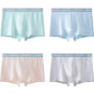 4PCS Teen Boys Underwear Briefs