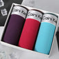 2025 New 3Pcs Underwear For Men Boxers
